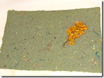 paper-and-pressed-leaves